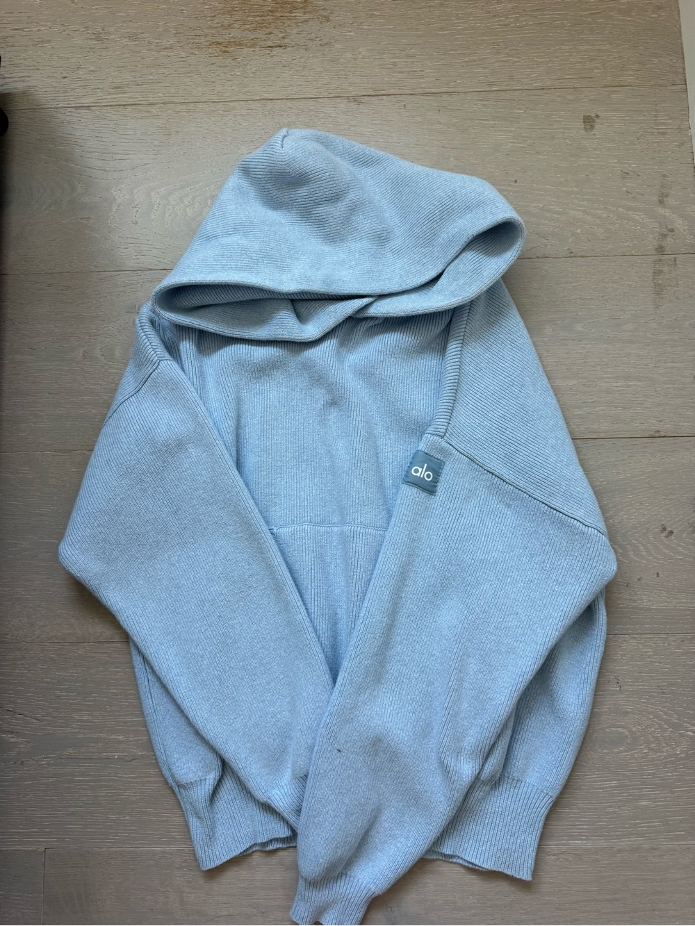 ALO Yoga Light Blue Hooded Sweater